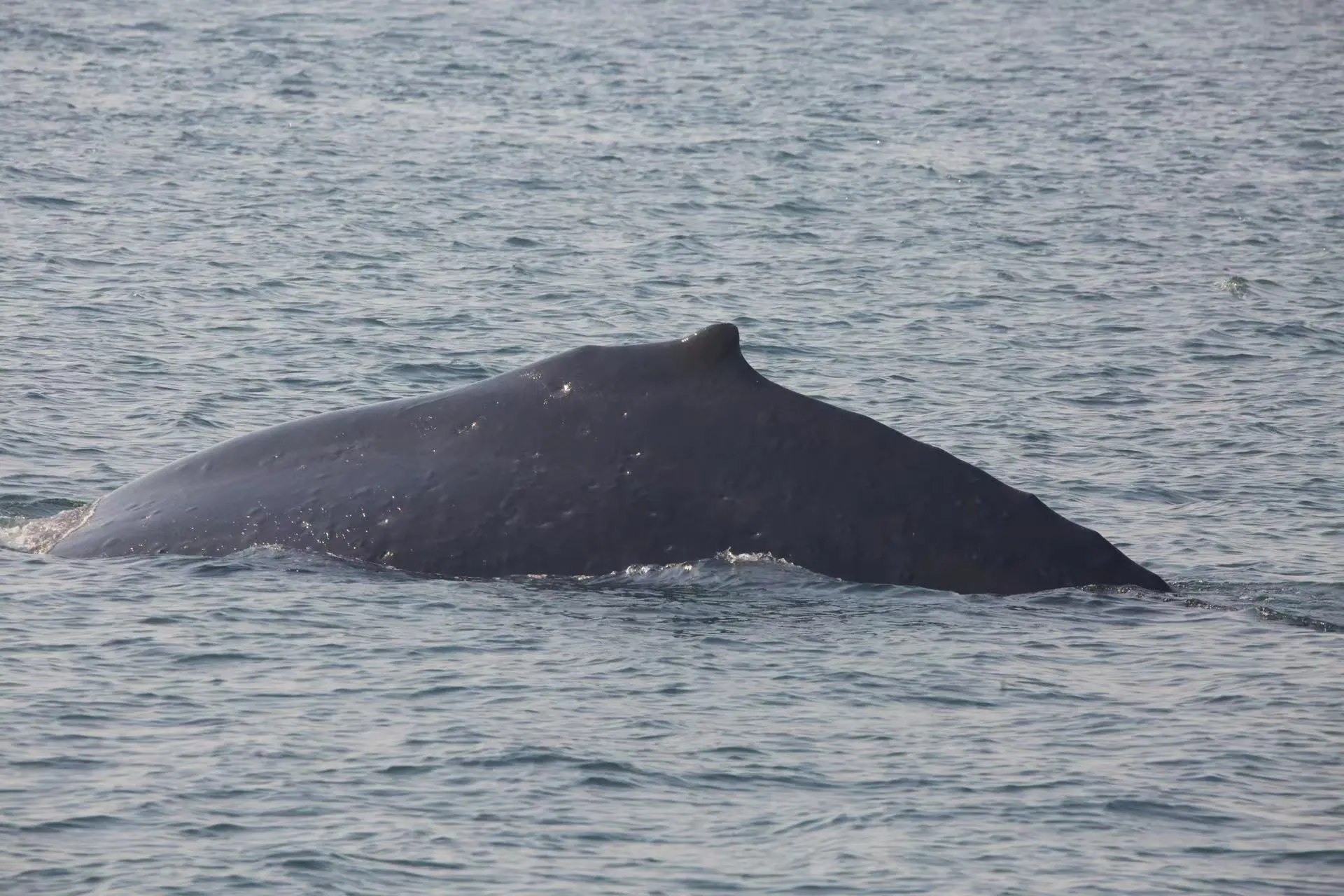 森空岛-鹰角网络官方社区